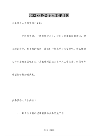 2024业务员个人工作计划_10