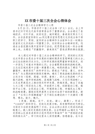 XX市委十届三次全会心得体会 