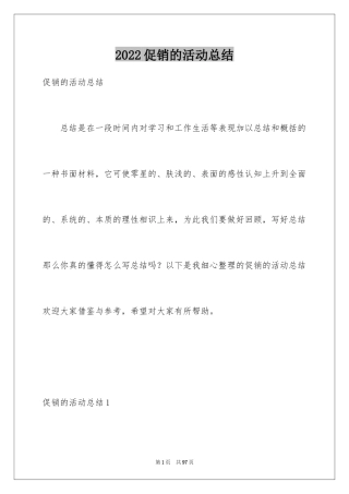 2024促销的活动总结_2