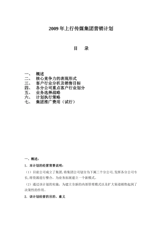 某传媒集团营销计划