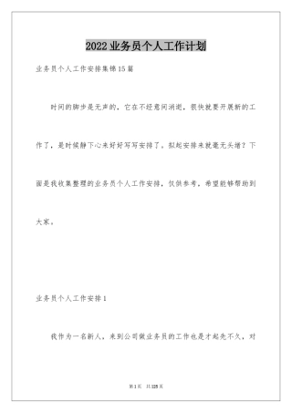 2024业务员个人工作计划