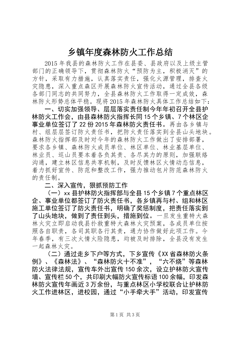 乡镇年度森林防火工作总结 (2)_第1页