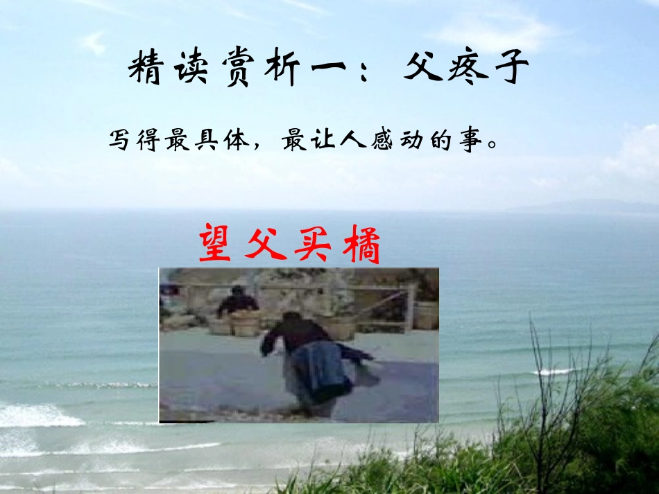 《背影》参考课件3_第2页