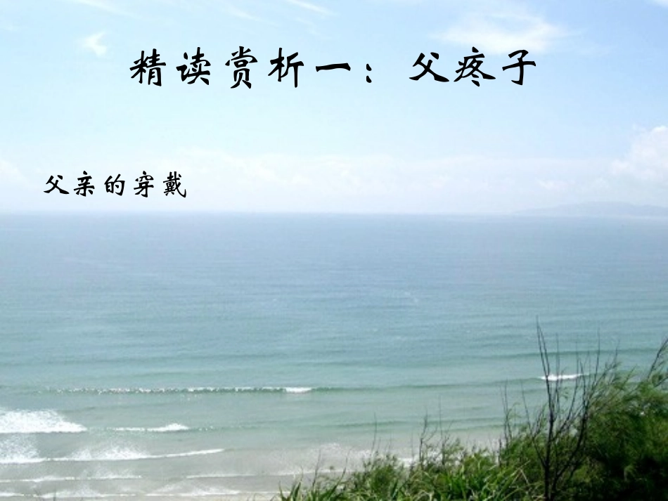 《背影》参考课件3_第3页