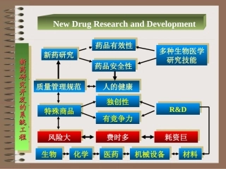 新药研究开发—新药研究过程
