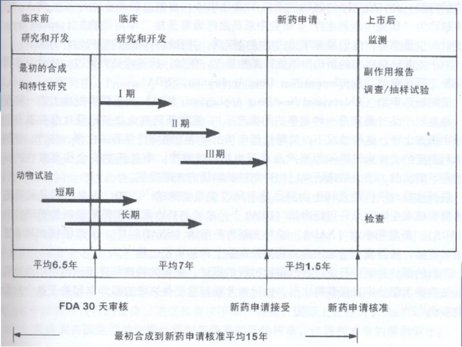 新药的开发过程_第2页