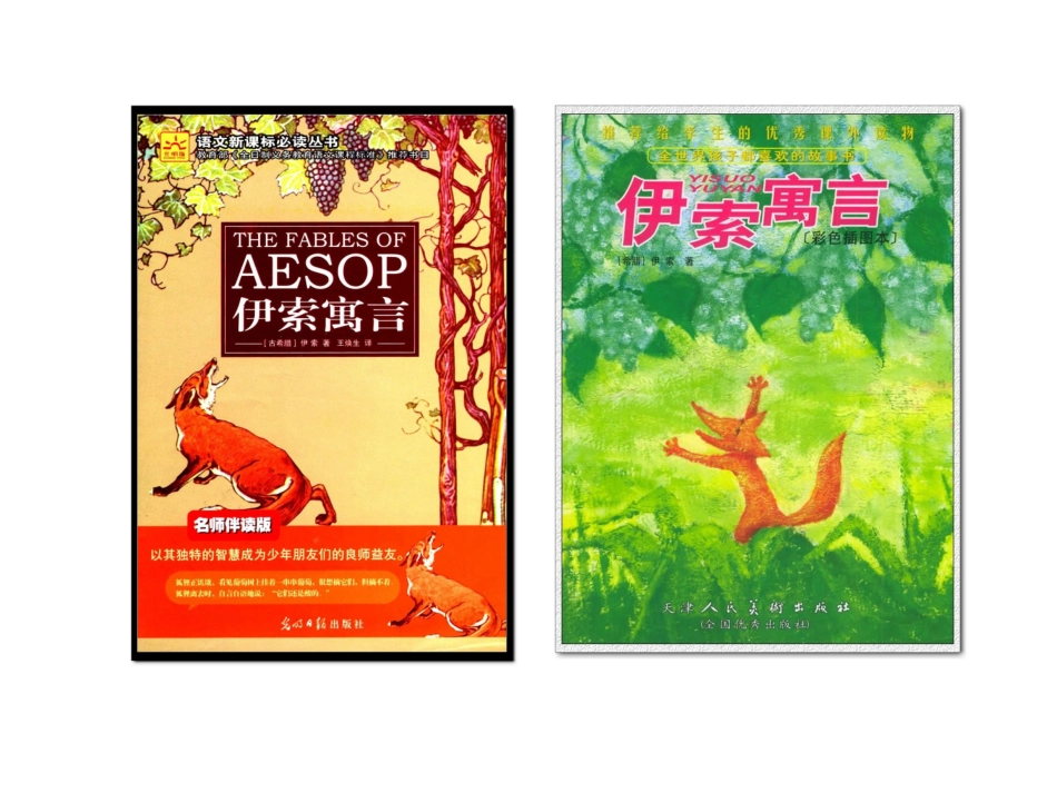 狮子和鹿课件cc_第1页