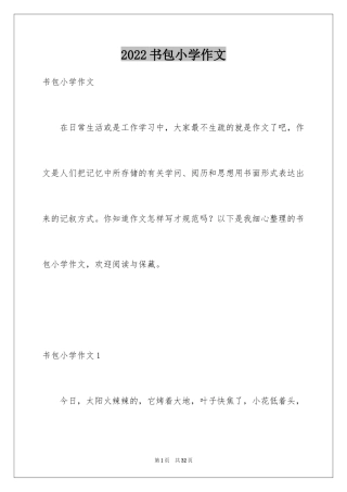 2024书包小学作文_9