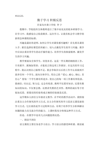 理论反思黄口李宁