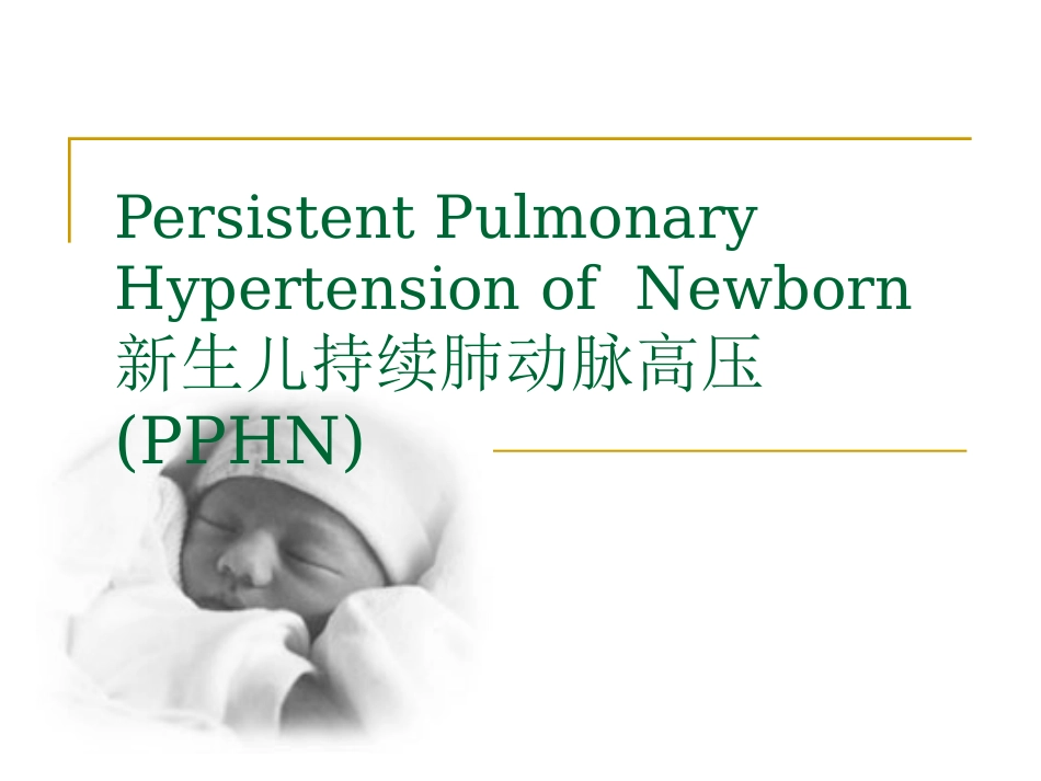 新生儿肺动脉高压_第1页
