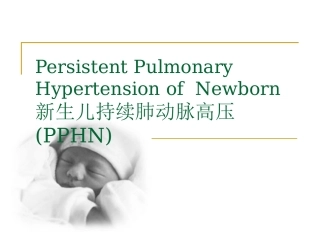 新生儿肺动脉高压