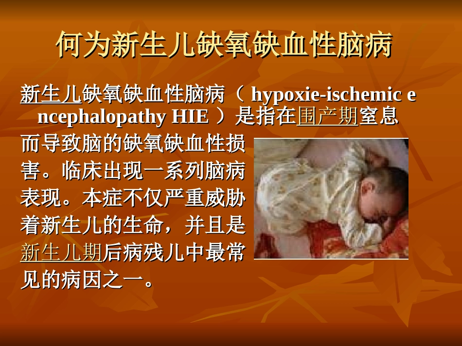 新生儿缺氧缺血性脑病-ppt_第2页