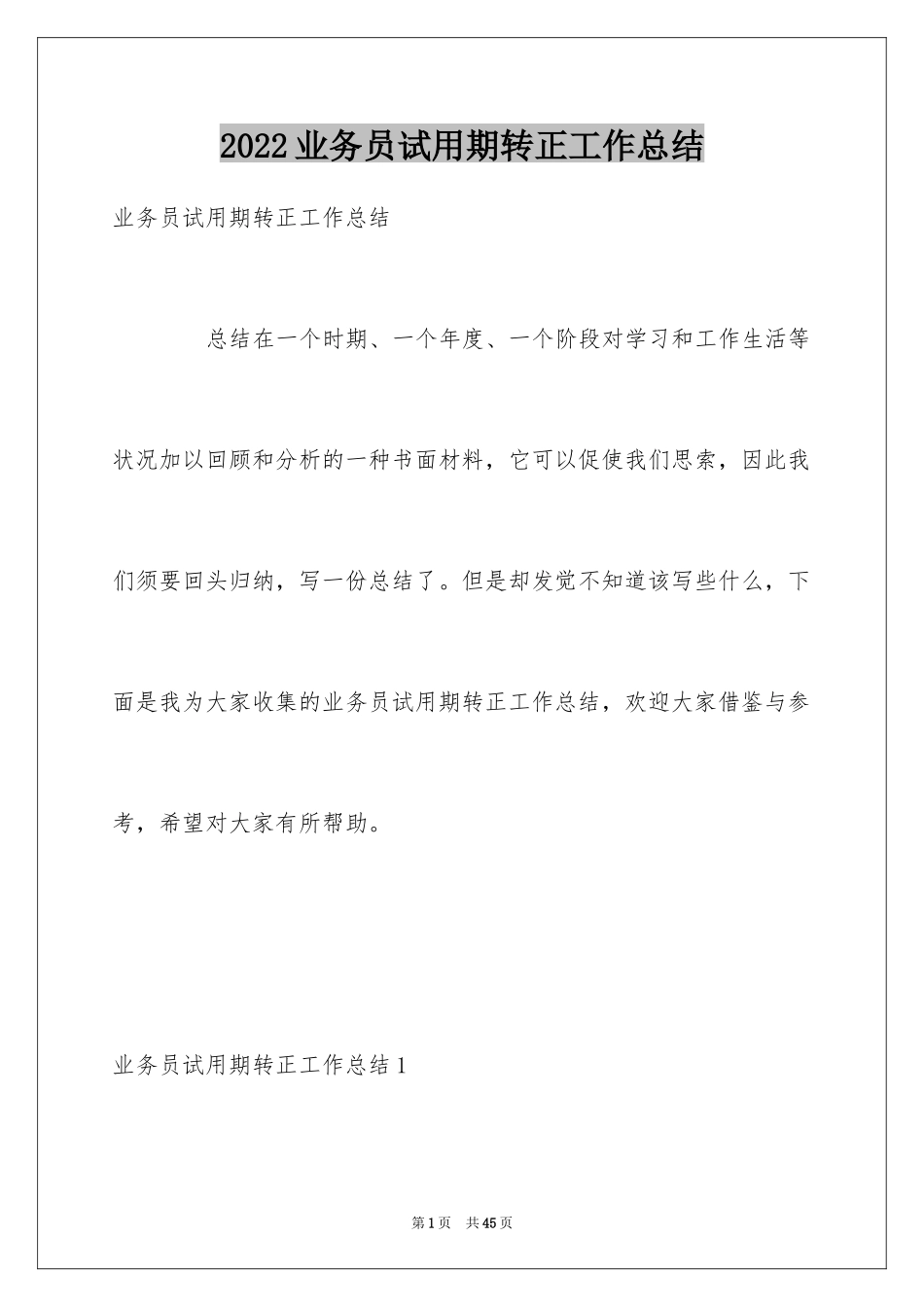 2024业务员试用期转正工作总结_3_第1页