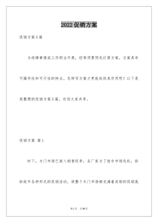 2024促销方案_58