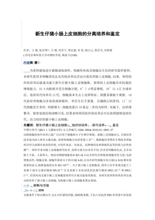 新生仔猪小肠上皮细胞的分离培养和鉴定