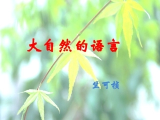 《大自然的语言》课件