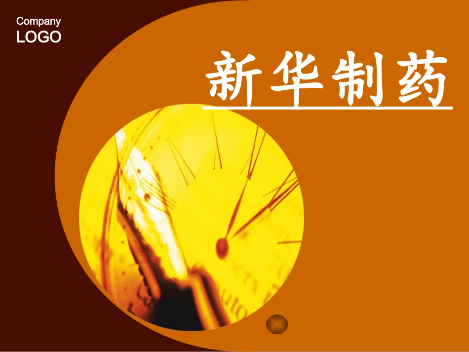 新华制药内部控制ppt(1)_第1页