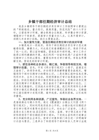 乡镇干部任期经济审计总结
