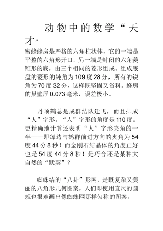 动物中的数学