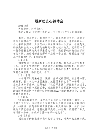 最新助班心得体会 