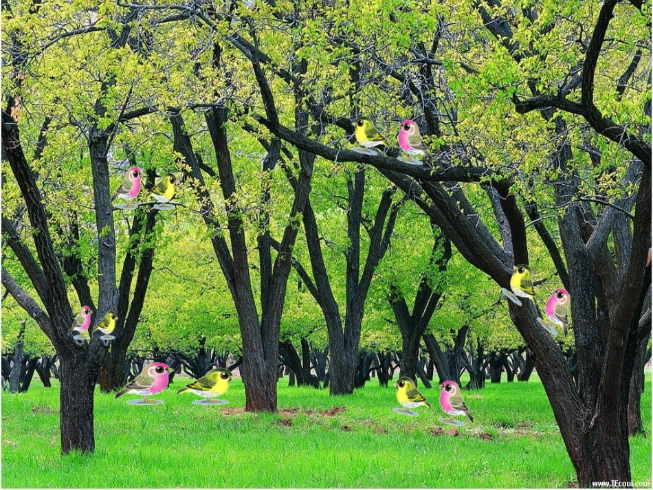 两位数乘两位数 (3)_第2页