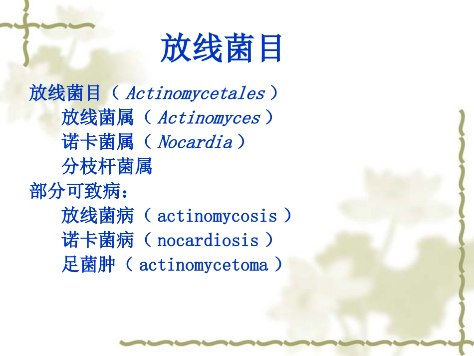 放线菌属和奴卡氏菌属_第2页