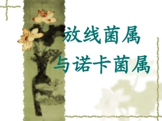 放线菌属和奴卡氏菌属