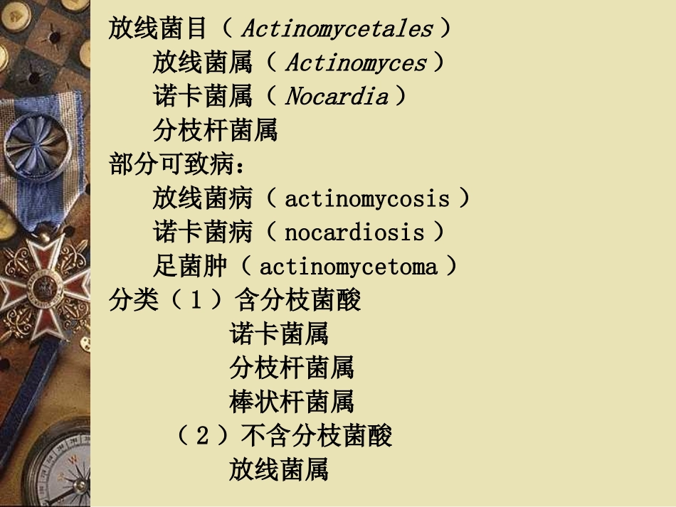 放线菌属与诺卡菌属比较_第2页