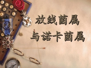 放线菌属与诺卡菌属比较