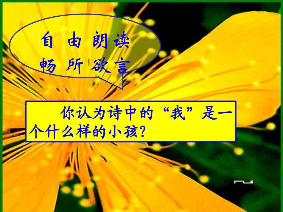 《金色花》1_第3页
