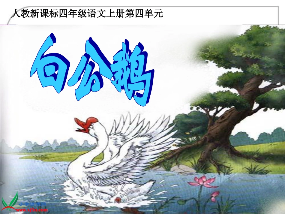 白公鹅 (2)_第2页