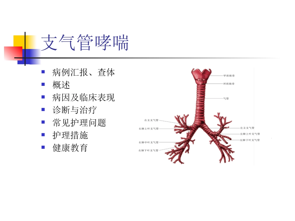 支气管哮喘教学查房_第2页