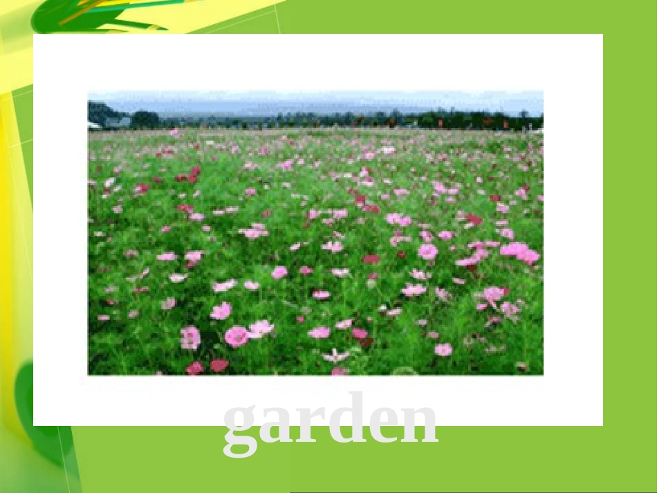 小学英语：Unit1OurSchool精品课件（人教PEP版四年级下）_第3页