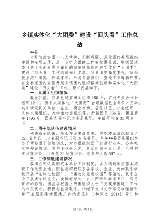 乡镇实体化“大团委”建设“回头看”工作总结 (2)