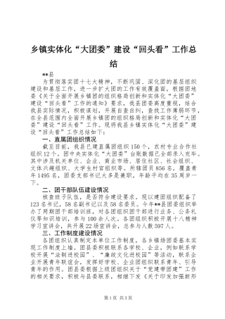 乡镇实体化“大团委”建设“回头看”工作总结