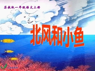 《北风和小鱼课件
