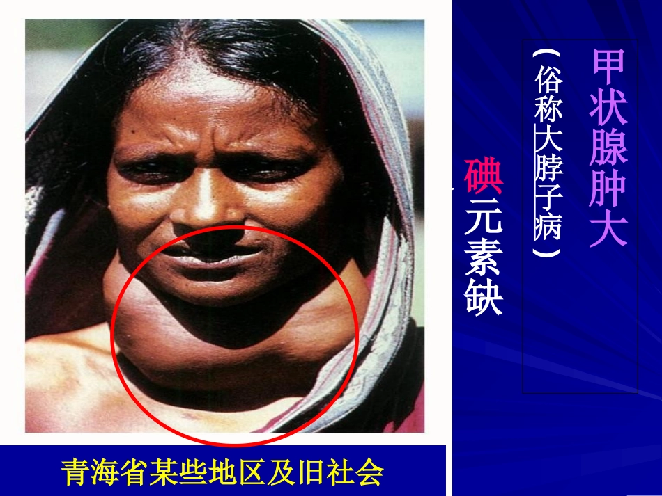 化学元素与人体健康(人教版)_第3页