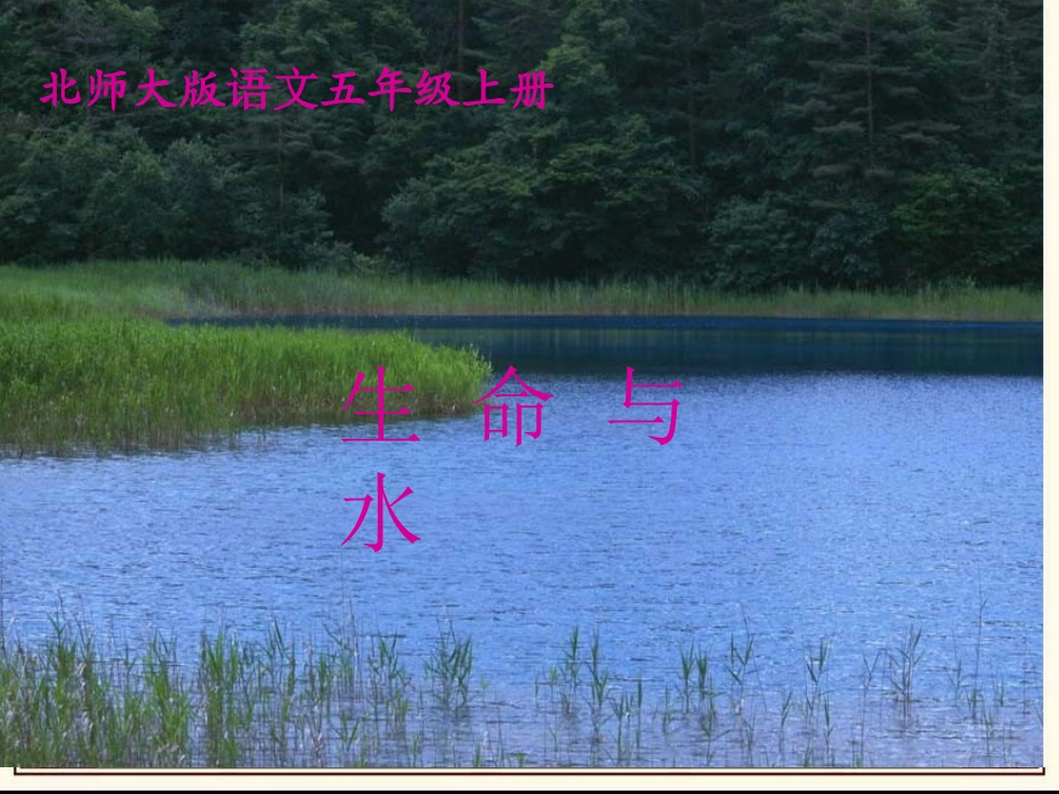 生命与水第二课时课件_第1页