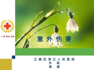 意外伤害院前急救