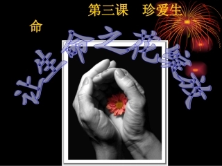 让生命之花绽放PPT[1]