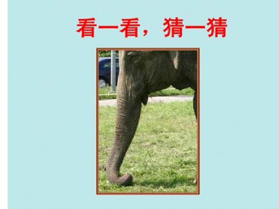 人教版二年级上册《观察物体》课件_第2页