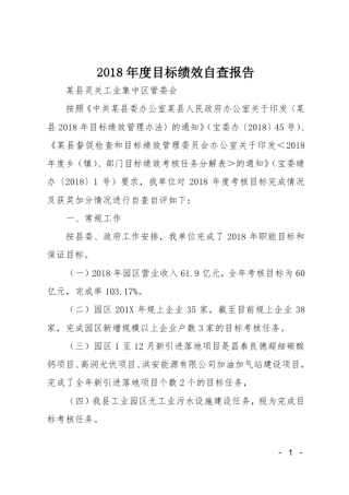 2018年目标绩效自查报告