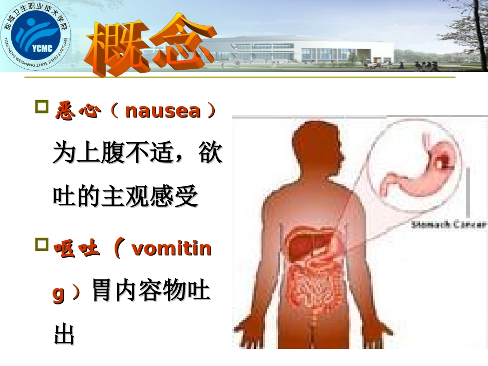 恶心与呕吐、腹泻_第2页