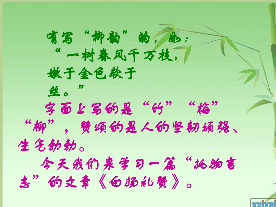 白杨礼赞课件 (2)_第3页