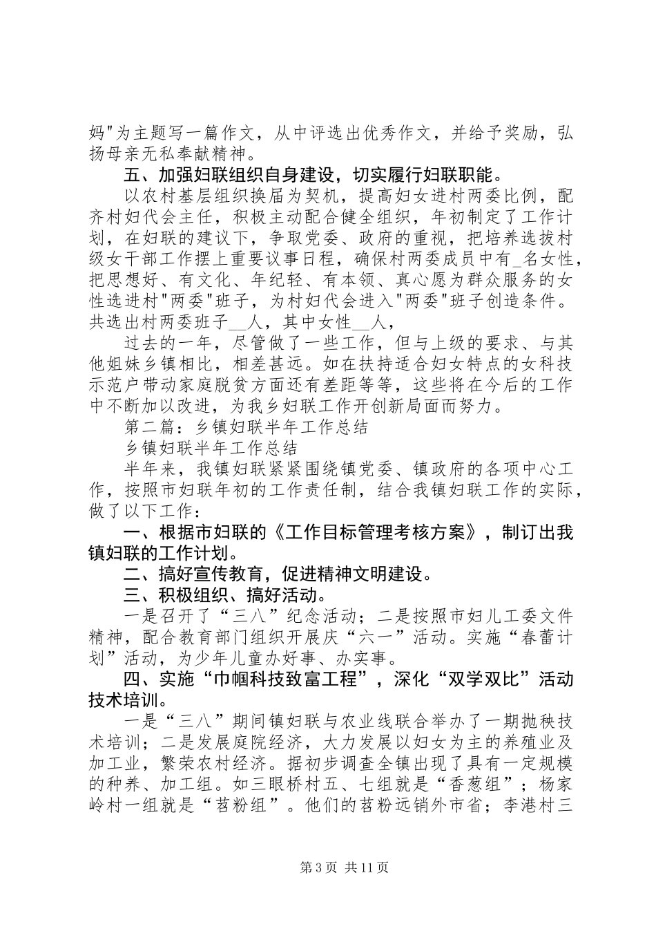 乡镇妇联半年工作总结(精选多篇)_第3页