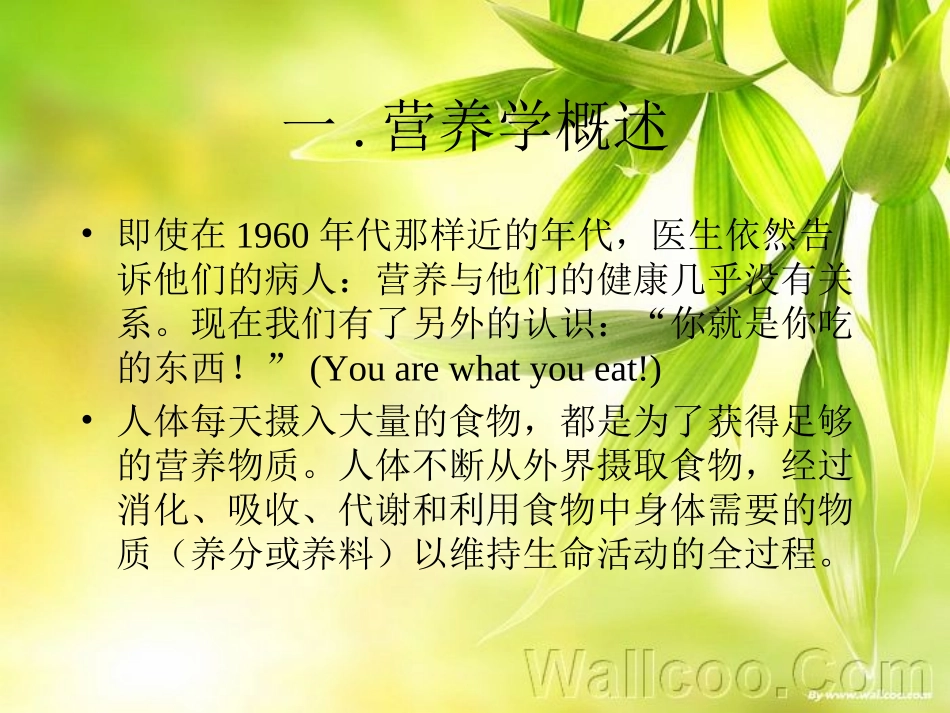 怎样营养才健康_第2页