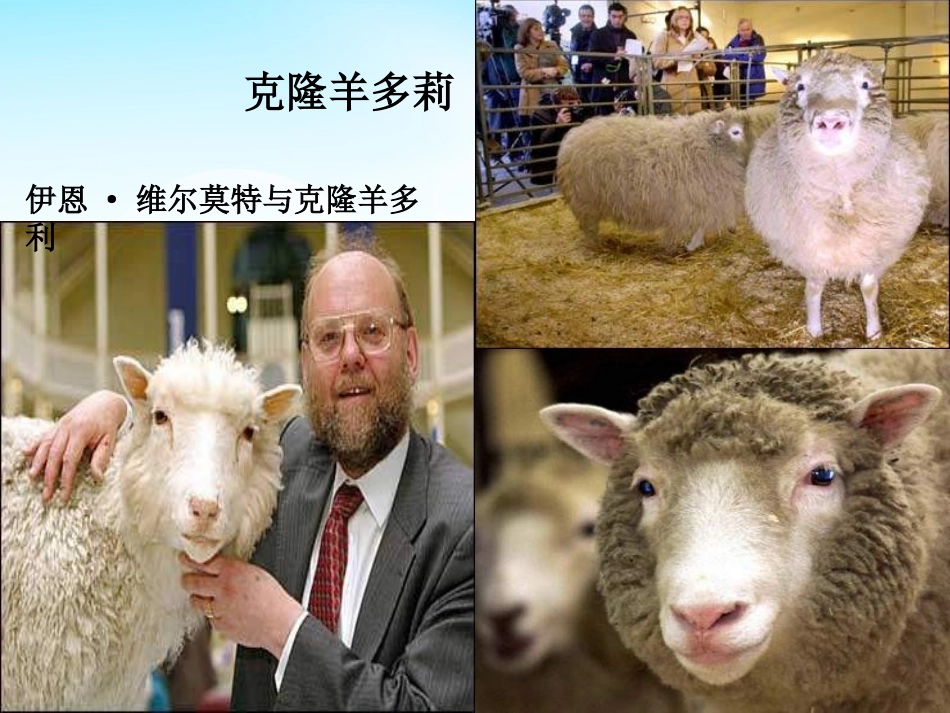 怎样进行动物细胞核移植_第2页