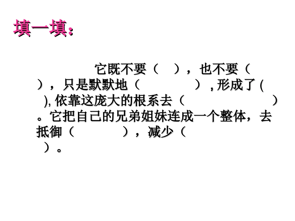 红树林课件第二课时_第3页