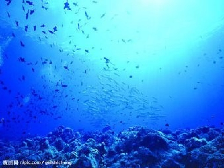 海底世界课件_第2页