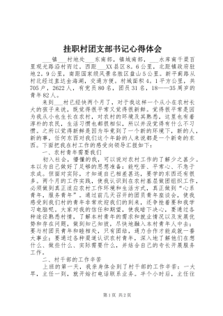 挂职村团支部书记心得体会 